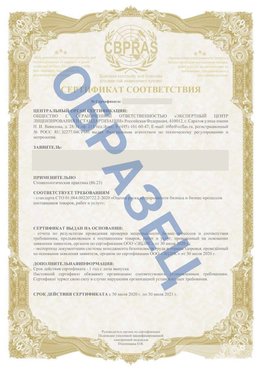 Образец Сертификат СТО 01.064.00220722.2-2020 Лысково Сертификат СТО 01.064.00220722.2-2020 
